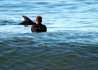 2011 10-08 Morning Surf @ San Clemente